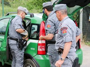mazara/marsala-controlli-dei-carabinieri-forestali-sanzionata-una-ditta