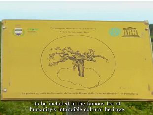 a-parigi-le-testimonianze-sulla-vite-ad-alberello-di-pantelleria-a-dieci-anni-dal-riconoscimento-unesco