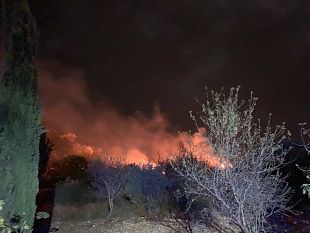 custonaci-incendio-in-contrada-assieni