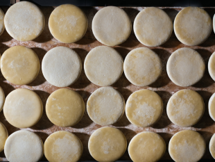 gibellina-si-e-tenuto-levento-che-celebra-la-vastedda-dop-della-valle-del-belice