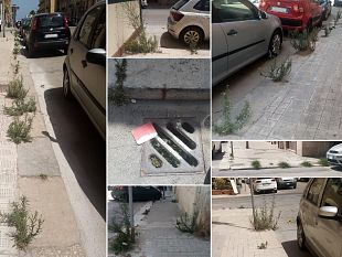 trapani-verde-pubblico-rigoglioso-in-via-nicolo-riccio
