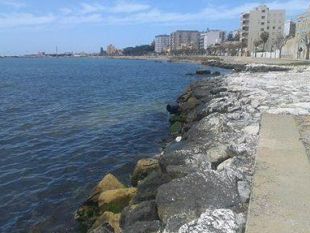 mazara-ma-l-oasi-verde-di-san-vito-dove-finito-il-progetto-dell-amministrazione-cristaldi