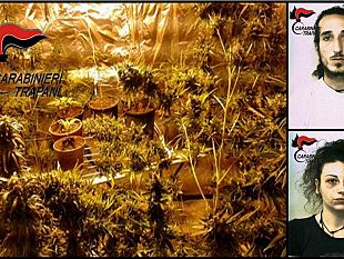 castelvetrano-carabinieri-arrestano-coppia-per-detenzione-e-coltivazione-di-sostanza-stupefacente