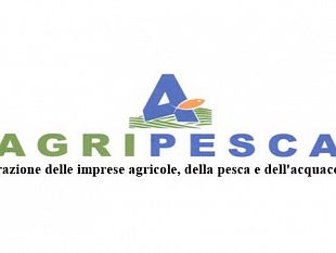 agripesca-ennesimo-sequestro-da-parte-delle-autorita-libiche-di-due-natanti-mazaresiafrodite-pesca-e-matteo-mazzarino-toni-scilla-e-una-vergogna