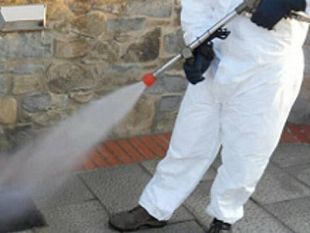 mazara-in-programma-dal-18-al-21-novembre-la-derattizzazione-del-territorio