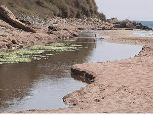 sabato-al-gioventu-si-presenta-il-libro-di-paola-grassa-il-sogno-di-giona