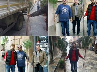 trapani-salone-gli-striminziti-alberi-di-natale-del-sindaco-damiano-salone-una-presa-in-giro-per-cittadini-e-commercianti