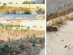 la-mazara-che-non-vorremmo-lettera-aperta-di-una-cittadina