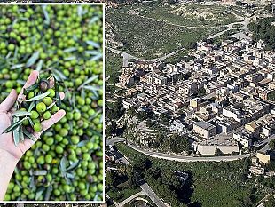 custonaci-aderisce-al-progetto-comunita-dellolio