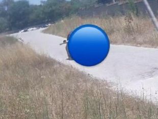 mazara-appicca-incendio-in-unarea-adiacente-il-cimitero-inchiodato-dalla-telecamere
