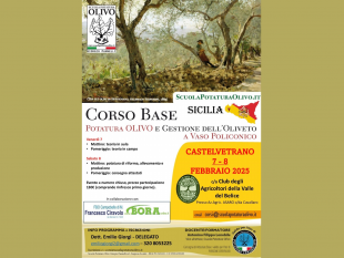 castelvetrano/la-valle-del-belice-ospita-un-importante-evento-dedicato-allolivo-e-allolivicoltura