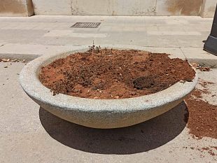 trapani-il-comune-mette-in-mora-e-diffida-ditta-affidataria-verde-pubblico