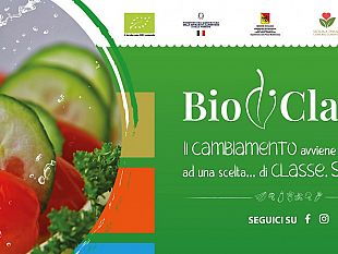 belice/il-progetto-e-rivolto-agli-studenti-del-primo-anno-delle-scuole-superiori-i-grad