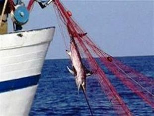 pesca-maxi-truffa-sui-fondi-ue-destinati-ai-pescatori-del-catanese-e-finiti-nella-mani-dei-colletti-bianchi
