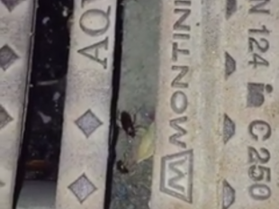 mazara-quasi-a-fine-estate-servizio-di-disinfestazione-e-derattizzazione-del-territorio-perche-gli-uffici-comunali-non-programmano-per-tempo-il-servizio