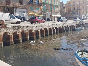 video-il-2019-anno-del-tanto-atteso-dragaggio-del-porto-canale-di-mazara