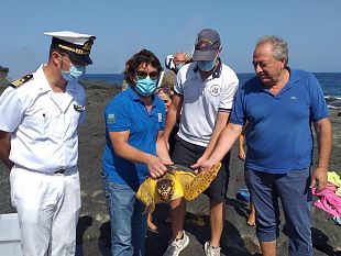 pantelleria-torna-in-mare-puck-la-tartaruga-ferita-curata-dal-centro-di-recupero-tartarughe-marine-amp-isole-egadi