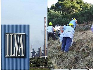 ilva-forestali-confronti-diversi-ma-uguali-nei-numeri-e-nel-bisogno