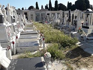 video-il-cimitero-da-pulire-per-restituire-dignita-ad-un-luogo-sacro