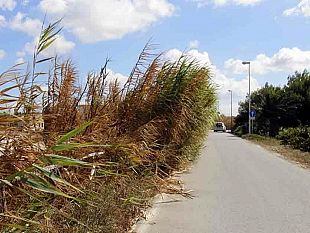 litorale-stagnone-il-sindaco-di-girolamo-richiede-interventi-urgenti-di-manutenzione-delle-strade