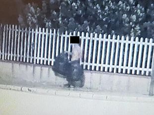 partanna-tolleranza-zero-e-multe-salatissime-per-abbandono-di-rifiuti