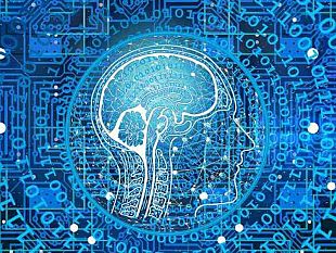 una-punta-di-sal-emergenza-e-sorveglianza-con-il-covid-19-ce-pero-il-rovescio-della-medaglia