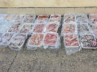 mazara-sequestro-pesce-a-venditori-abusivi-in-pzzetta-scalo