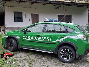 mazara/pantelleria-gestione-illecita-di-rifiuti-specialidenunciato-imprenditore-edile