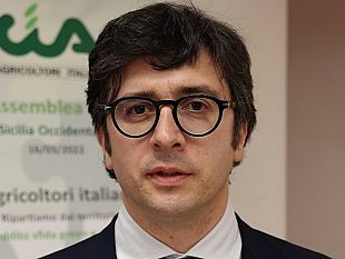 trapani/agricoltura-a-custonaci-convegno-su-pac-e-psr