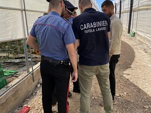 lavoro-nero-e-sicurezza-irregolari-tutte-le-18-aziende-agricole-ispezionate-nel-palermitano