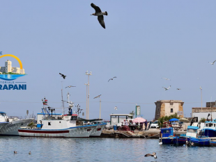 a-trapani-lincontro-territoriale-dei-galpa-siciliani