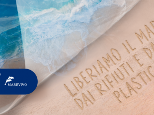 giornata-n-del-mare-marevivo-e-caronte