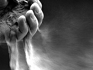 ultime-della-sera-il-mercoledi-delle-ceneri-e-la-leggenda-di-marzo