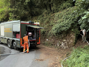 undici-incendi-in-sicilia-interventi-massicci-di-vigili-del-fuoco-forestale-e-protezione-civile