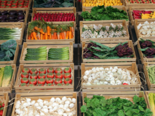 grave-crisi-per-le-aziende-ortofrutticole-campobellesi-il-sindaco-castiglione-e-l-ass-valentina-accardo-segnalano-la-congiuntura-all-ispettorato