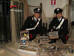 salaparuta-i-carabinieri-mettono-in-salvo-40-esemplari-di-volatili-vittime-di-maltrattamenti