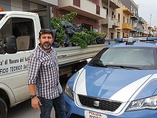 la-polizia-di-mazara-sequestra-ingente-quantitativo-di-canapa-indiana