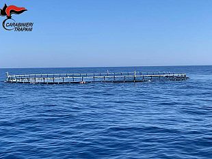 trapani-denunciato-dai-carabinieri-comandante-di-un-motopesca