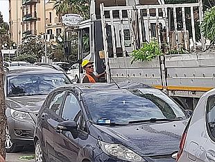 lungomare-ramo-si-stacca-da-un-albero-danneggiata-unauto