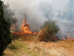 prevenzione-rischio-incendi-a-mazara-ordinanza-del-sindaco-quinci
