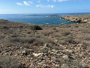 favignana-rigettato-il-progetto-turistico-in-contrada-stornello-soddisfazione-dellon-ciminnisi-m5s