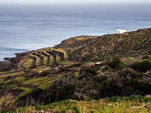 il-parco-nazionale-di-pantelleria-nel-progetto-screenbio-5-terre
