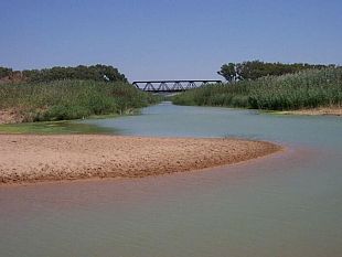 castelvetrano-il-sindaco-aderisce-alla-campagna-a-sostegno-del-patrimonio-culturale