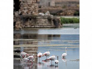mazara-contest-la-foto-della-settimana-ecco-lo-scatto-vincente-27