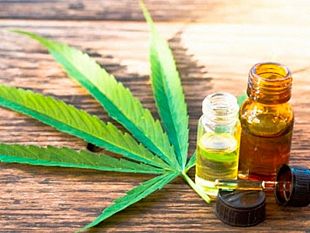 uso-di-farmaci-a-base-di-cannabis-mozione-del-consigliere-comunale-giorgio-randazzo