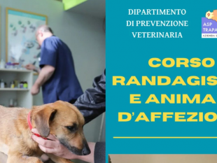 corso-di-formazione-sul-tema-del-randagismo-e-degli-animali-domestici