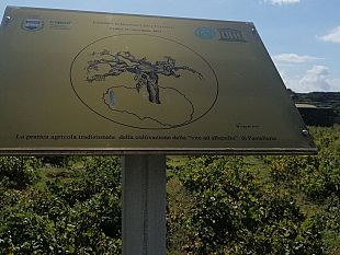 il-parco-di-pantelleria-ottiene-la-carta-europea-per-il-turismo-sostenibile