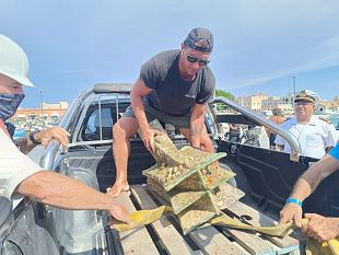 campagna-di-ricerca-nel-sito-della-battaglia-delle-egadi-recuperato-un-rostro-romano-e-altri-reperti