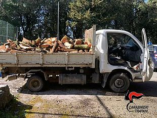 mazara/erice-sorpresi-a-disboscare-e-caricare-legna-denunciate-quattro-persone