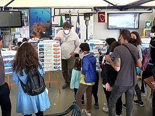 marsala/continua-lazione-del-wwf-sicilia-a-tutela-delle-aree-marine